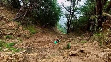 Photo of थवाङमा भएको जीप दुर्घटनामा १७ जनाको मृत्यु, १ जना घाइते