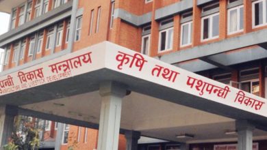 Photo of कृषि तथा पशुपन्छी विकास मन्त्रालयले पाँच महिनापछि किसान सूचीकरण गर्ने