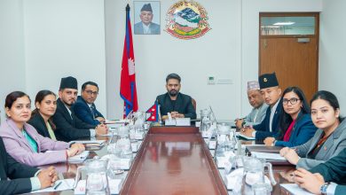 Photo of जेनजी आन्दोलनको प्रतिवेदन कार्यान्वयनबारे सुरक्षा संयन्त्रको हकमा अध्ययन गर्न समिति गठन