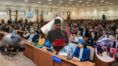 Photo of वर्षान्त : २०८२ राजनीतिक ‘सुनामी’को वर्ष