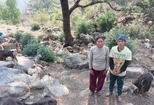 Photo of घुम्तीगोठमा बाख्रा पालेर स्वरोजगार र आत्मनिर्भर