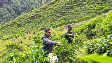 Photo of वडाध्यक्षको एउटा जुक्तिले बदलियो गाउँको परिचय