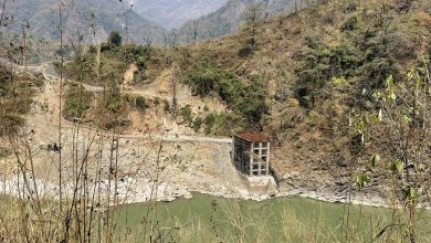 Photo of अलपत्र घुमाउने पुलको काम तत्काल सुरु गर्न निर्देशन