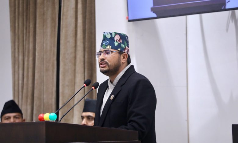 सांसद शाही – सार्वजनिक सेवा प्रसारण संस्था