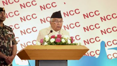 Photo of आर्थिक समृद्धिका लागि निजी क्षेत्रको भूमिका निर्णायक हुन्छः राष्ट्रपति