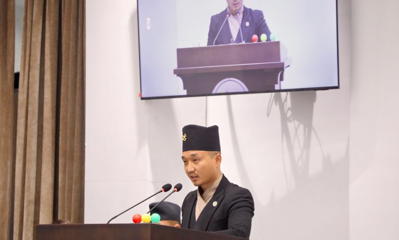 प्रतिनिधि सभामा तीन वटा अध्यादेश पेस