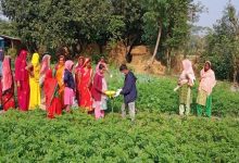 Photo of जलवायुमैत्री कृषिमार्फत चुनौतीको सामना गर्दै किसान