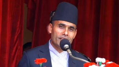 Photo of सरकारी सेवा प्रभावकारी बनाउन सञ्चारमन्त्री डा तिमिल्सिनाको निर्देशन