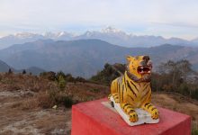 Photo of बाघखोरमा बाघको प्रतिमासहितको ‘पार्क’ निर्माण