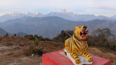 Photo of बाघखोरमा बाघको प्रतिमासहितको ‘पार्क’ निर्माण