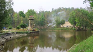 Photo of पर्यटकको रोजाइमा तीनकुने पोखरी