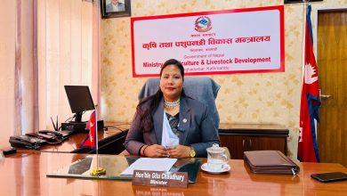 Photo of रासायनिक मल आपूर्तिमा सहजीकरणका लागि मन्त्री चौधरीको पहल