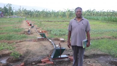 Photo of ‘काचाल्का’ अर्थात् थोरै पानीले धेरै सिँचाइ गर्ने प्रविधि