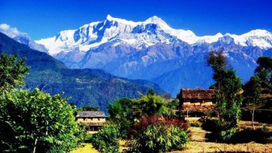 Photo of नयाँवर्षमा आन्तरिक र बाह्य पर्यटकको घुइँचो बढ्यो