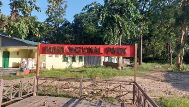Photo of पर्यटकहरुको आकर्षणको केन्द्र बन्दै पर्सा राष्ट्रिय निकुञ्ज