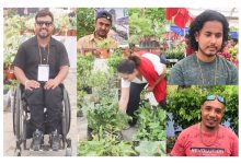 Photo of नर्सरीमा नयाँ पुस्ता, वार्षिक करोडौँको कारोबार