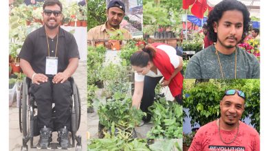 Photo of नर्सरीमा नयाँ पुस्ता, वार्षिक करोडौँको कारोबार