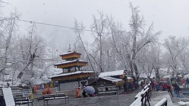 Photo of मुक्तिनाथ क्षेत्रलगायत मुस्ताङको तल्लो क्षेत्रमा हिमपात