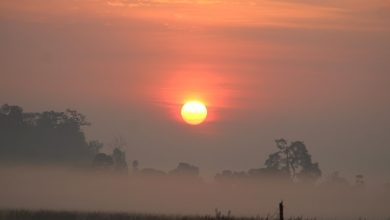 Photo of आज नयाँ वर्षः हर्षोल्लासका साथ मनाइँदै