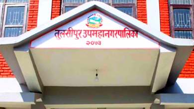 Photo of ज्येष्ठ नागरिकलाई लठ्ठी