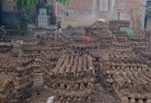 Photo of रौतहटको ग्रामीण क्षेत्रमा वैकल्पिक ऊर्जाको प्रयोग गरिँदै