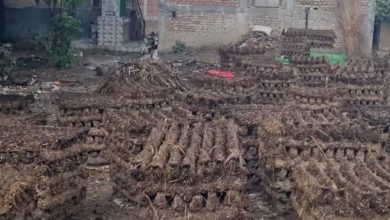 Photo of रौतहटको ग्रामीण क्षेत्रमा वैकल्पिक ऊर्जाको प्रयोग गरिँदै