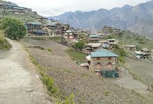 Photo of यार्सा संकलन गर्न स्थानीय लेकतिर लागेपछि गाउँ नै सुनसान