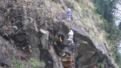 Photo of मह काढ्ने परम्परालाई जीवन्त राख्न पुस्ता हस्तान्तरण