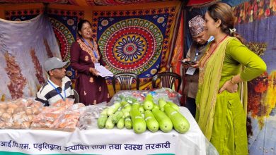 Photo of मेलाले कृषि उपज बजारीकरण गर्न सहज