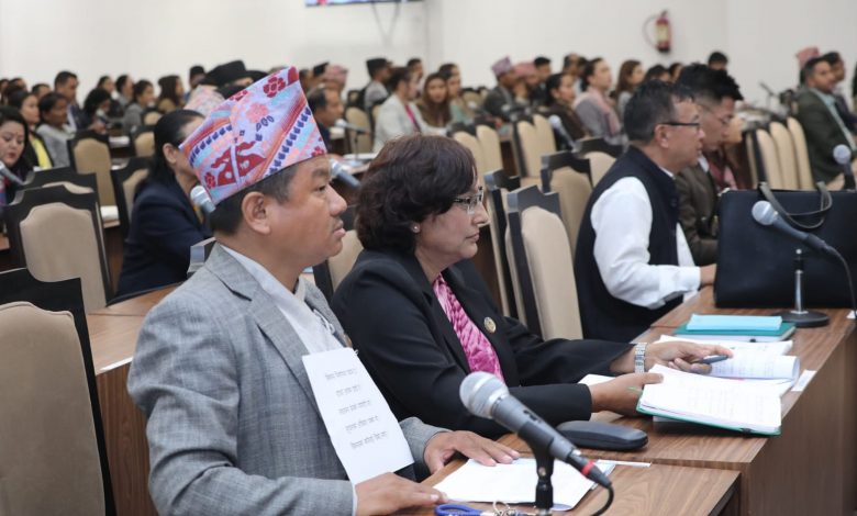 प्रतिनिधि सभाको बैठकमा श्रम संस्कृति पार्टीले गर्‍यो ‘प्ले कार्ड’ देखाएर विरोध