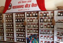 Photo of बीउ बैंकमार्फत रैथाने बाली संरक्षणमा जुट्दै ‘षडानन्द’