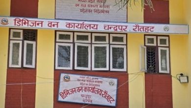 Photo of तीन हजार १९० हेक्टर वनक्षेत्र अतिक्रमण