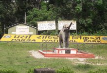 Photo of पर्सा राष्ट्रिय निकुञ्जमा ‘वन्यजन्तु उद्धार टोली’ तयार