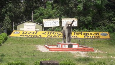 Photo of पर्सा राष्ट्रिय निकुञ्जमा ‘वन्यजन्तु उद्धार टोली’ तयार