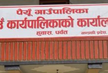 Photo of अकबरे खुर्सानी खेती प्रवर्द्धन गर्दै पैयूँ गाउँपालिका
