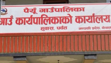 Photo of अकबरे खुर्सानी खेती प्रवर्द्धन गर्दै पैयूँ गाउँपालिका