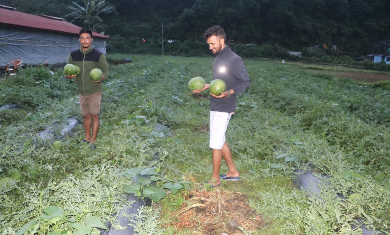 विजयपुर खोला किनारमा तरबुजाखेती, भनेजस्तै आम्दानी