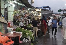 Photo of गर्मी छल्न भेडेटार आउने पर्यटकको कोसेली ‘अर्गानिक तरकारी’