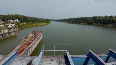 Photo of सिक्टा नहरको पानीले २२ हजार हेक्टरमा सिँचाइ
