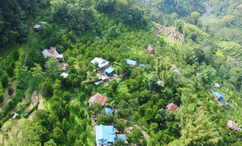 छिनामखुमा परम्परागत बालीको विकल्प बन्दै सुन्तला
