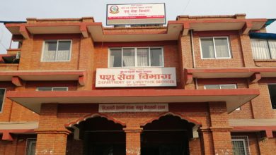Photo of ‘बर्डफ्लु’ नियन्त्रणका लागि ‘द्रुत कार्य टोली’ परिचालन
