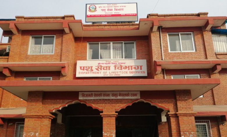 ‘बर्डफ्लु’ नियन्त्रणका लागि ‘द्रुत कार्य टोली’ परिचालन