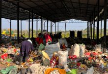 Photo of फोहरबाट रोजगारी र आम्दानी