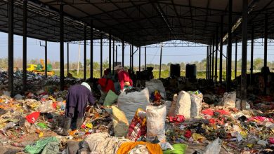 Photo of फोहरबाट रोजगारी र आम्दानी