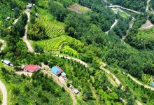 Photo of सिरदली–चौडेनी सडक स्तरोन्नति