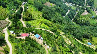 Photo of सिरदली–चौडेनी सडक स्तरोन्नति