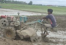 Photo of धान रोपाइँमा हराए गोरु र राँगा, बढ्यो ट्याक्टर र पावर टिलरको प्रयोग