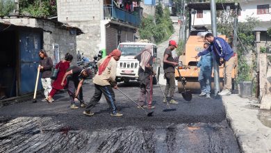 Photo of दरवाङमा सडक पुगेको १९ वर्षपछि कालोपत्र