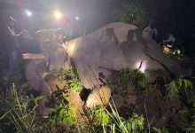 Photo of ‘ध्रुवे’लाई ‘रेडियो कलर’ जडान गरेर छाडियो