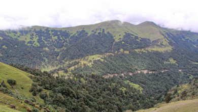 Photo of गर्मी छल्न पर्यटक रिग क्षेत्रमा
